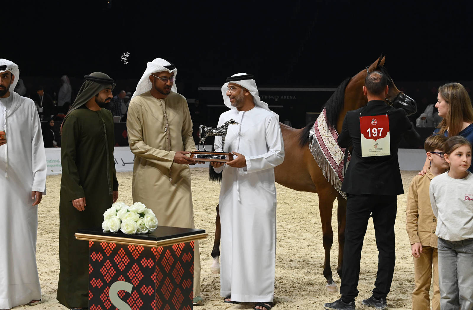 Yearling Colt Silver Champion: AJ Hajes 