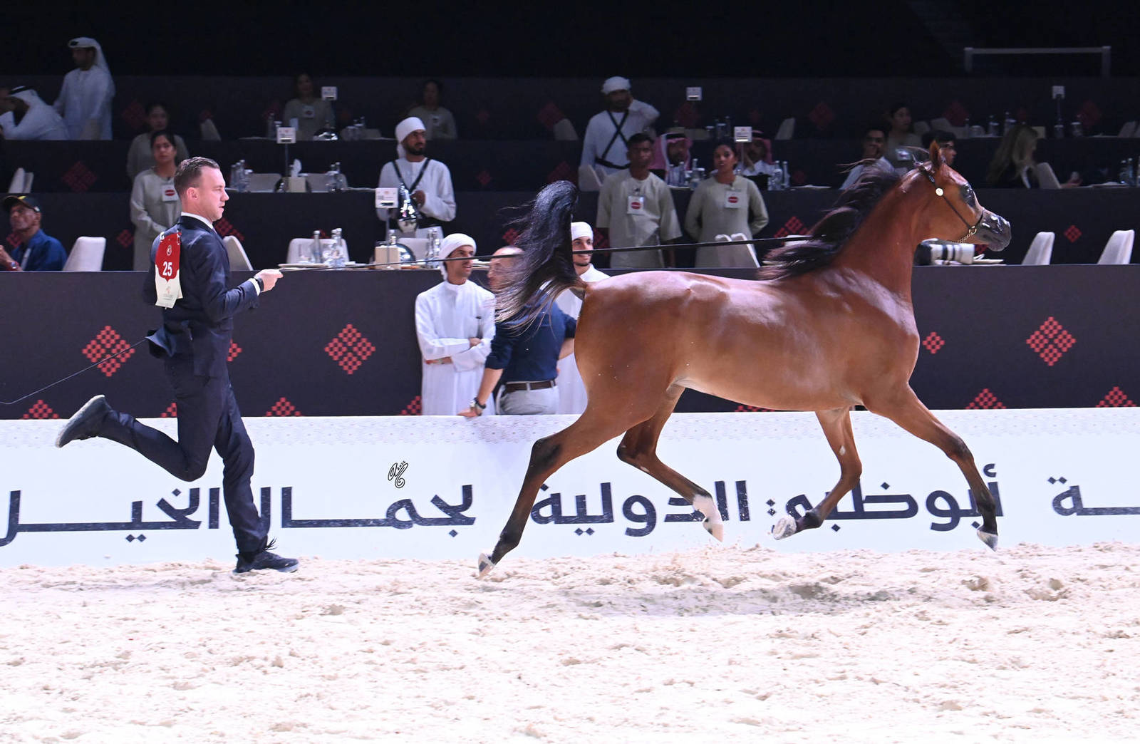Yearling Filly Silver Champion: Mozn SH  