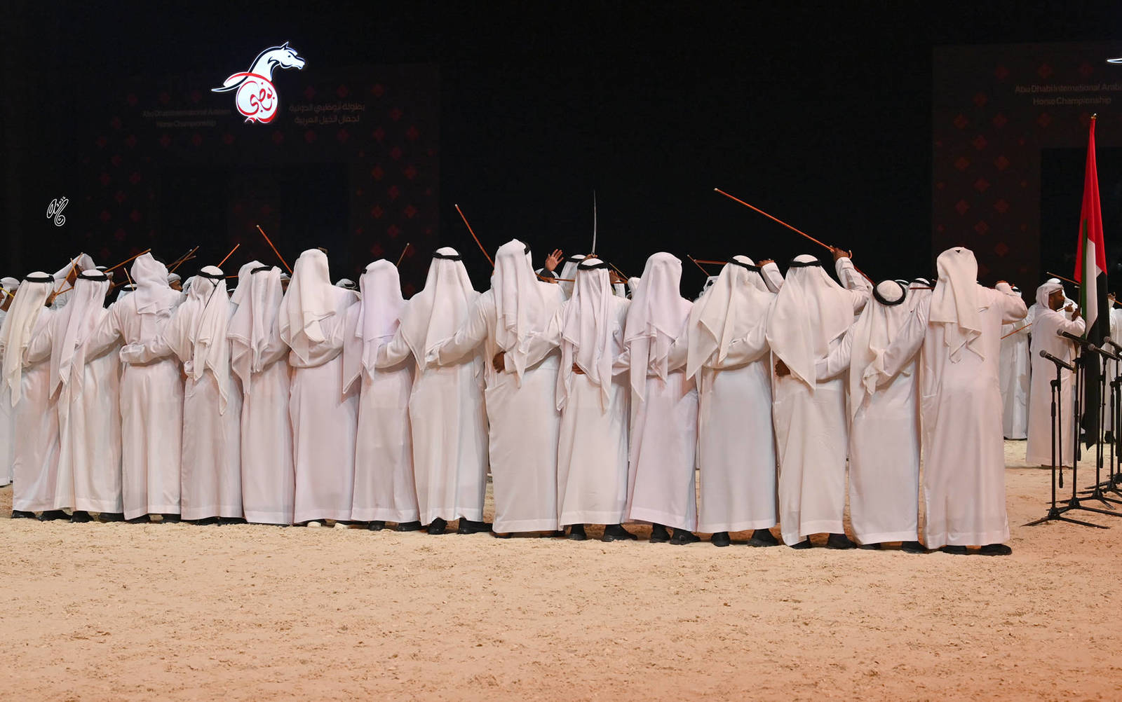 Lisa Abraham: The 2026 Abu Dhabi International Arabian Horse Championship Photo Gallery