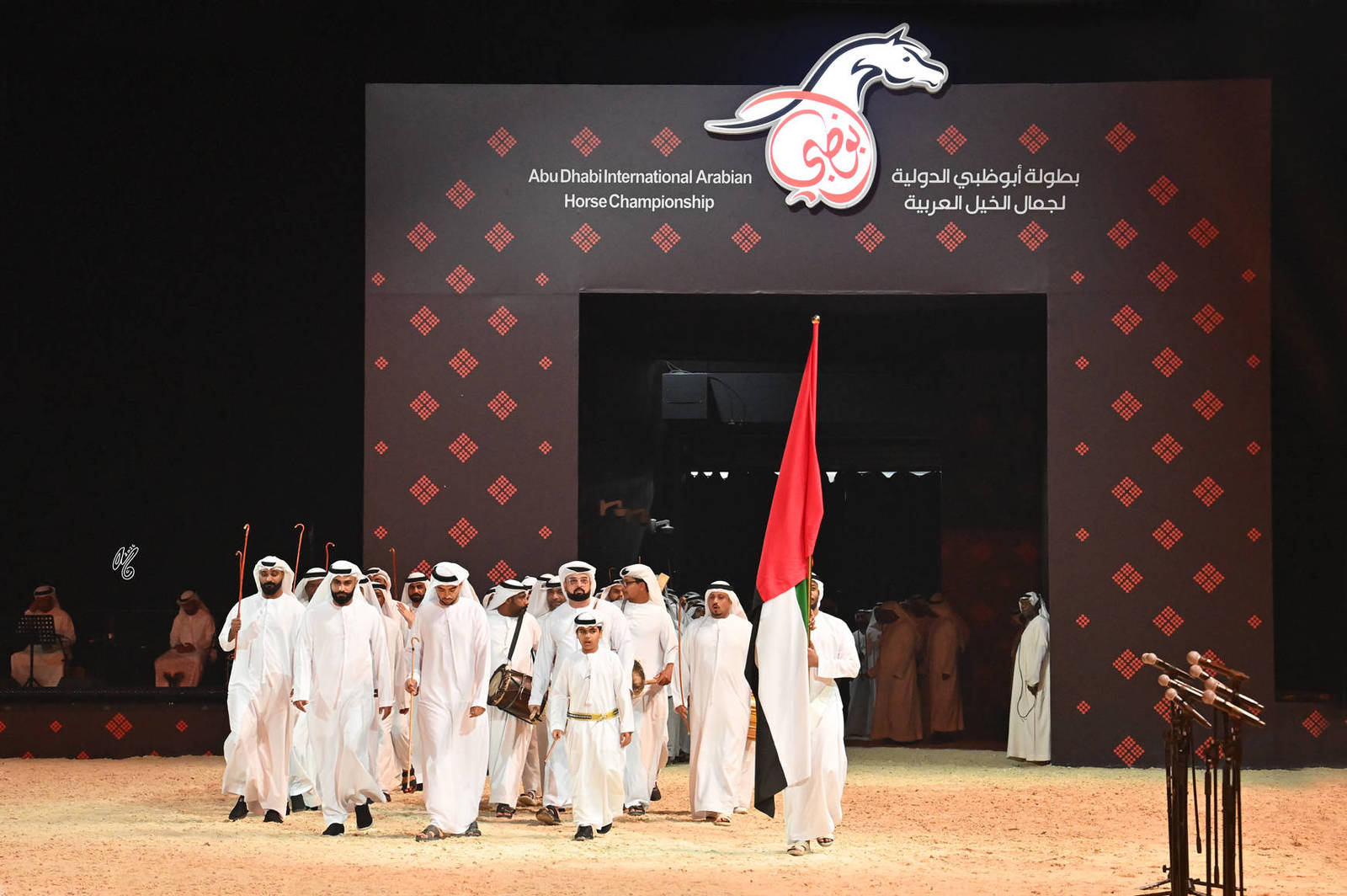Lisa Abraham: The 2026 Abu Dhabi International Arabian Horse Championship Photo Gallery
