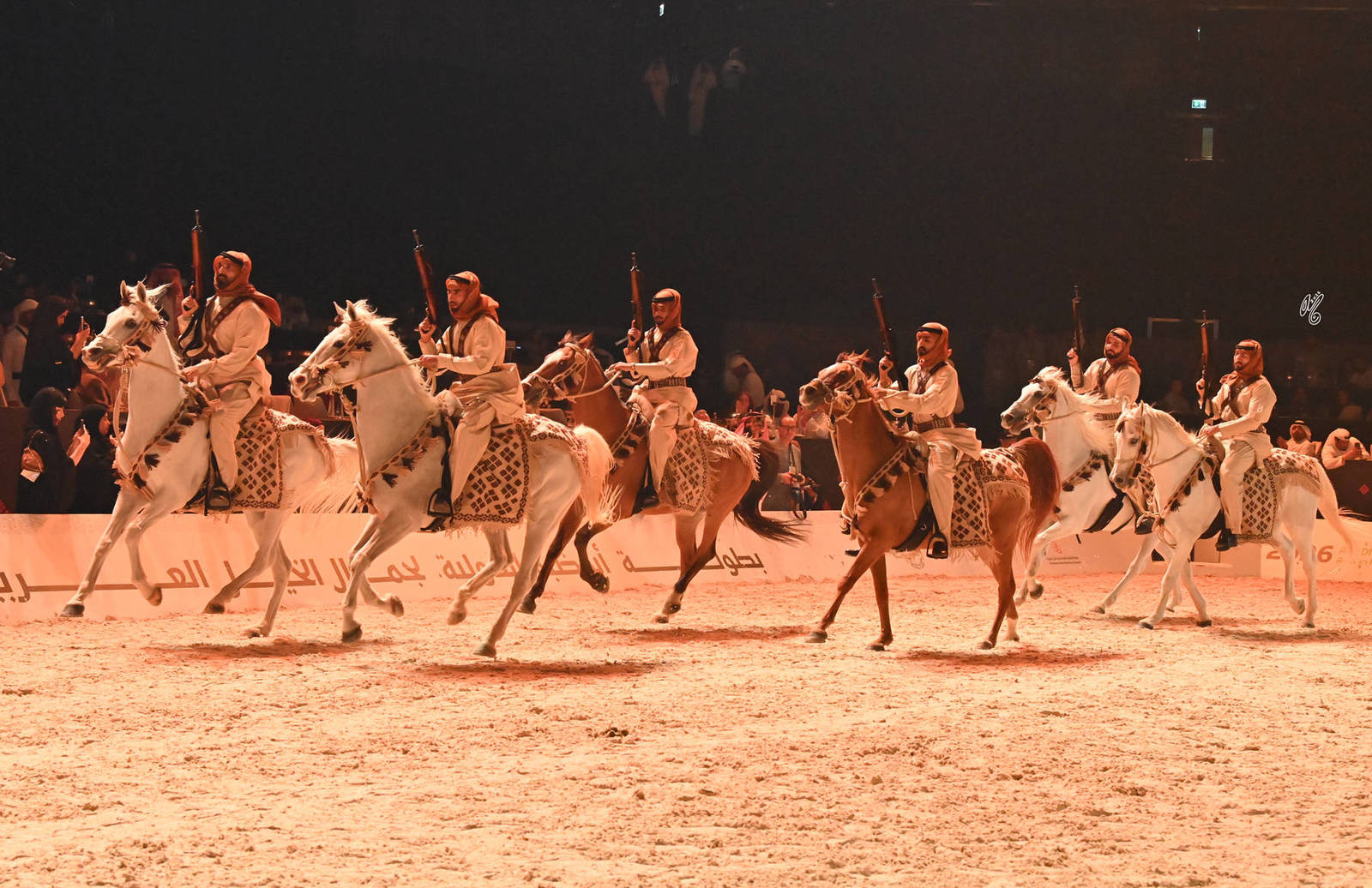 Lisa Abraham: The 2026 Abu Dhabi International Arabian Horse Championship Photo Gallery