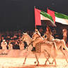 Lisa Abraham: The 2026 Abu Dhabi International Arabian Horse Championship Photo Gallery