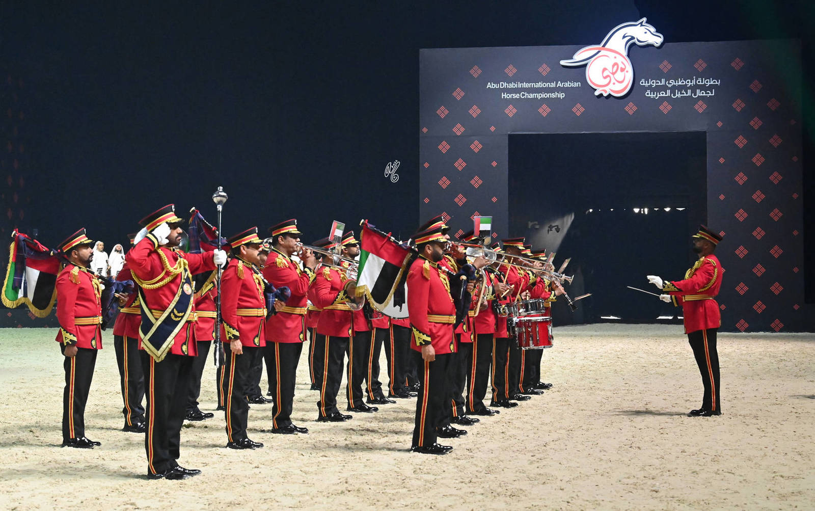 Lisa Abraham: The 2026 Abu Dhabi International Arabian Horse Championship Photo Gallery