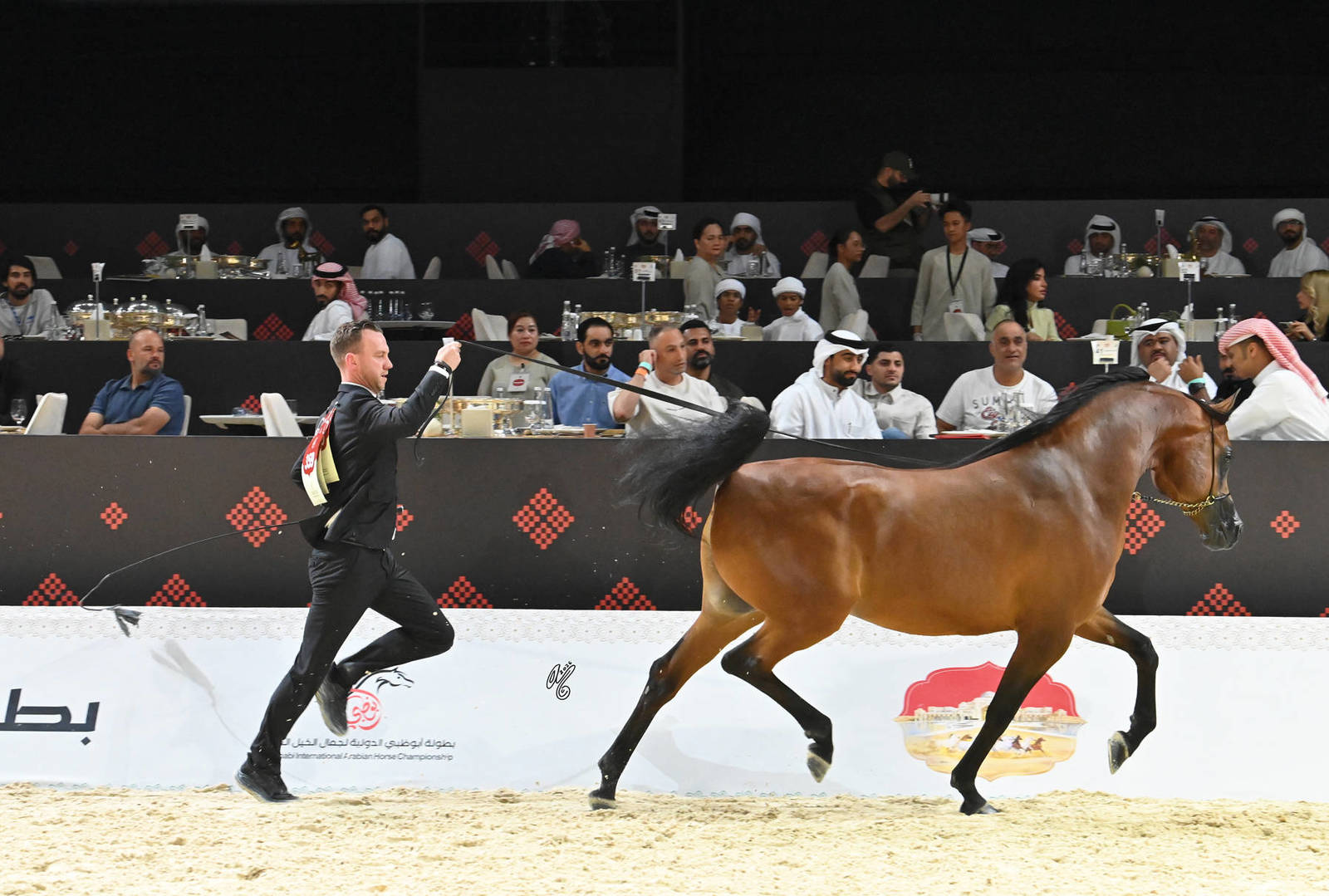 Stallions 4+ Years: SG Mehwar 