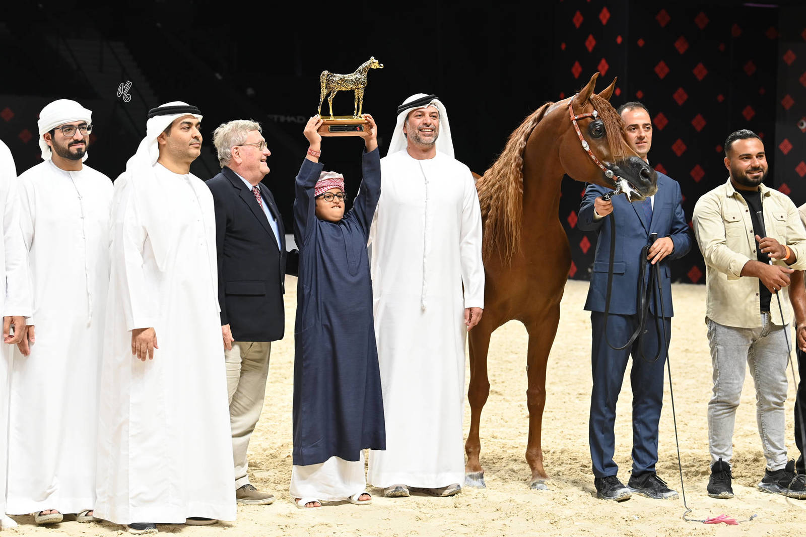 Stallions 4+ Years: D Safsouf 