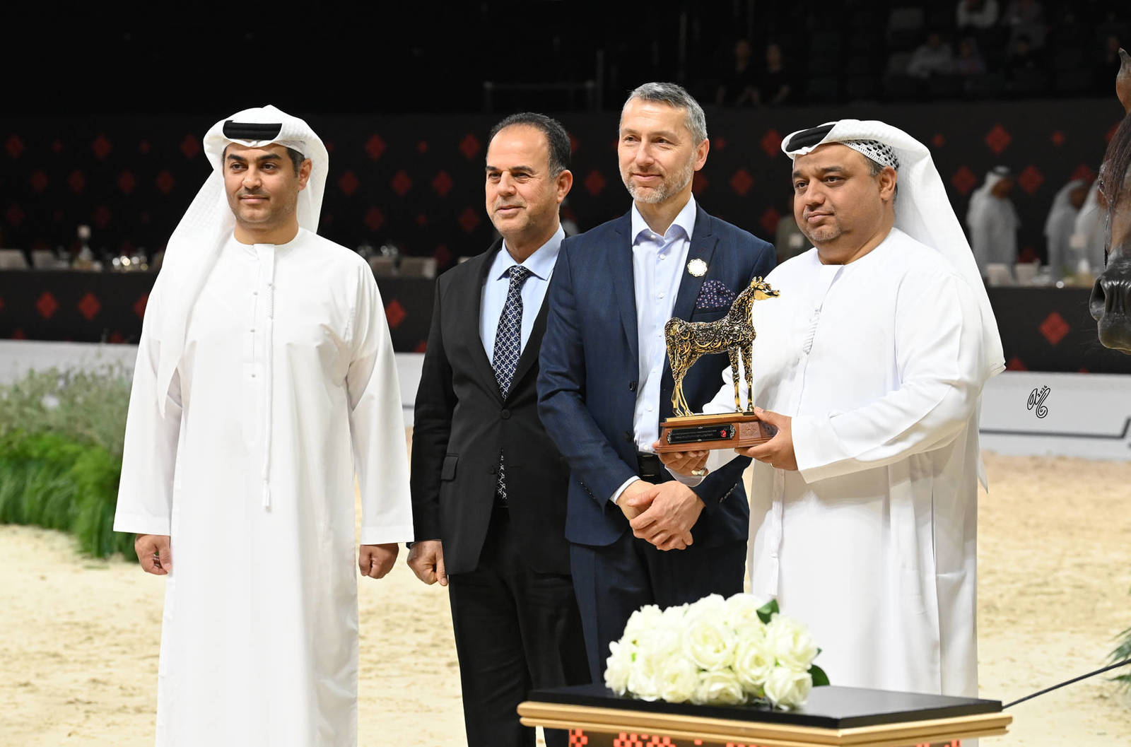 Stallions 4+ Years: JS Al Sultan