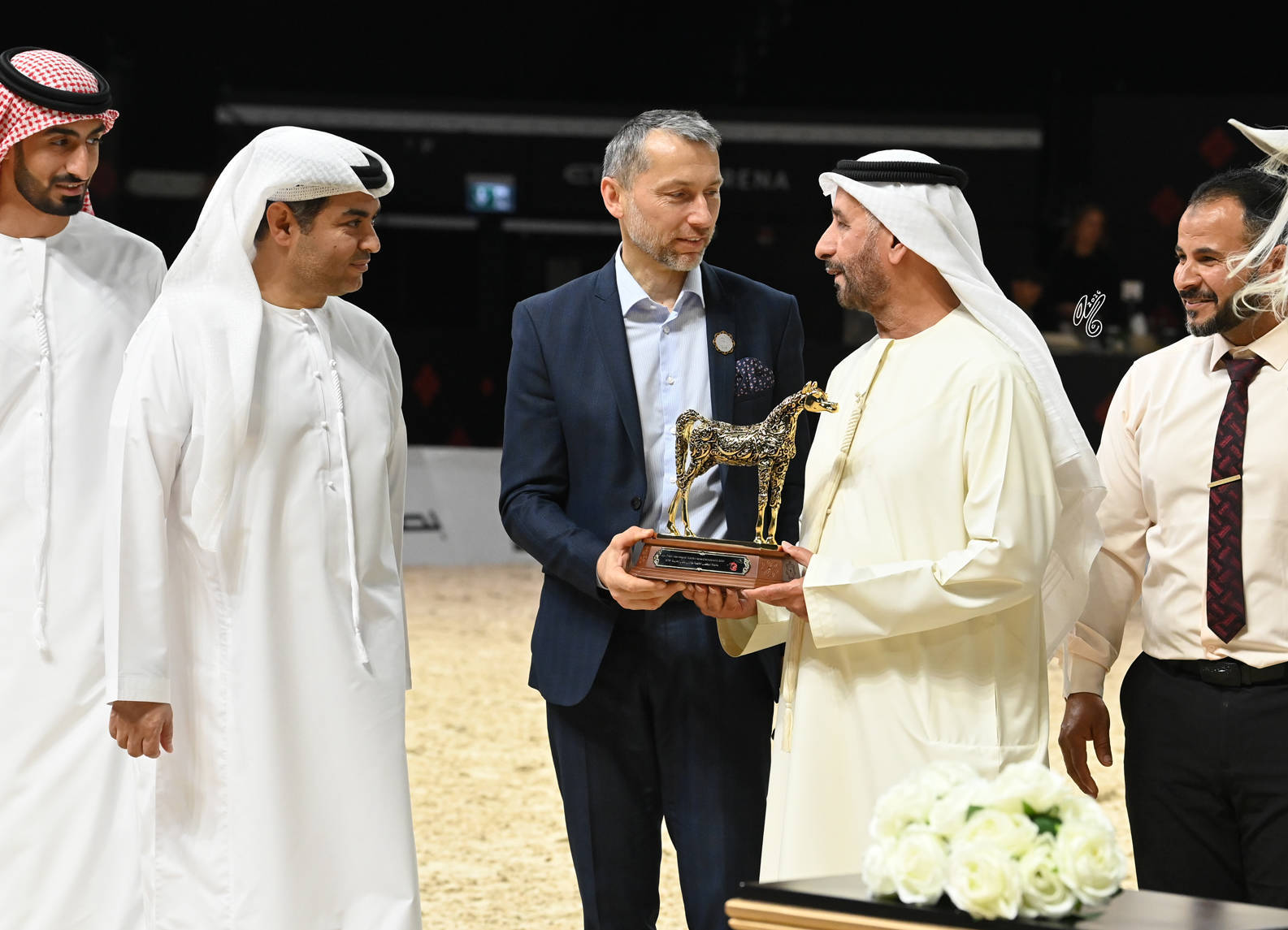 Stallions 4+ Years: Falah Al Hawajer