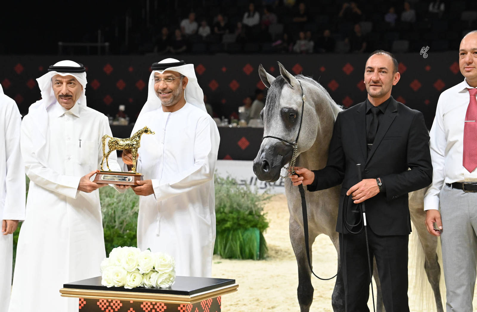 Stallions 4+ Years: AJ Saiyaf 