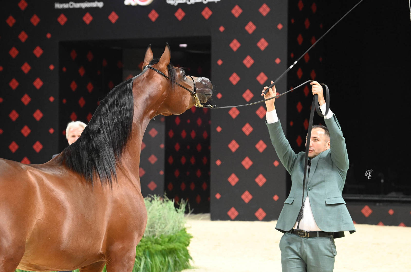 Colts 3 Years Old: E.S. Noran