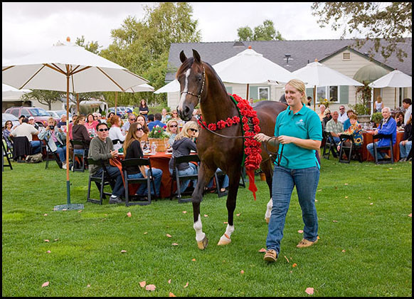 *Simeon Shai+ - Greeting the guests at the luncheon and for his toast wearing the National Champion ribbons