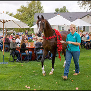 *Simeon Shai+ - Greeting the guests at the luncheon and for his toast wearing the National Champion ribbons