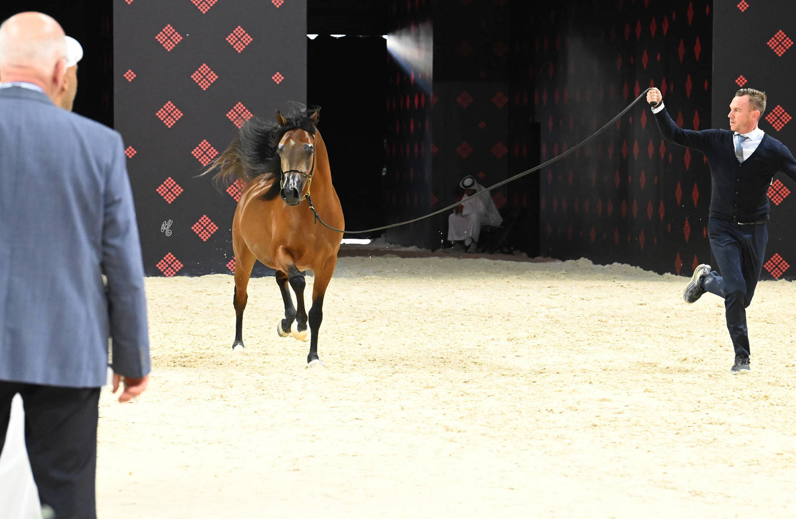 Colts 3 Years Old: Masheikh Al Zubi 