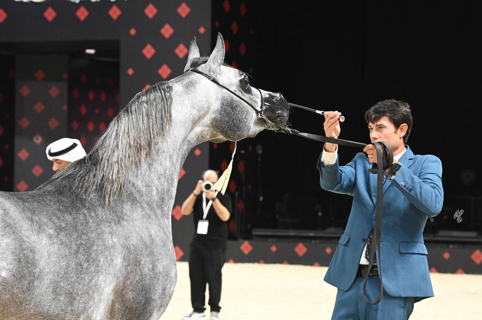 Colts 3 Years Old: Santorini O 