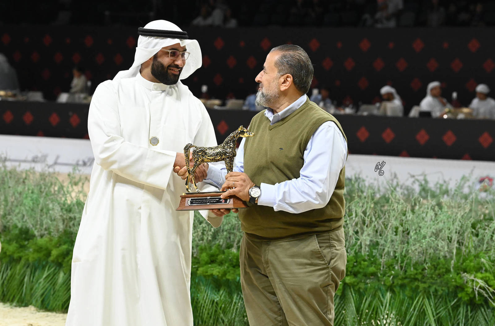 Colts 3 Years Old: Samir DA 