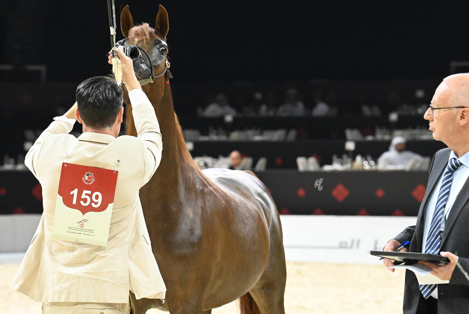 Mares 4+ Years: D A'Asaleyyah 