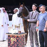 Mares 4+ Years: Mzoon Al Diriyah 