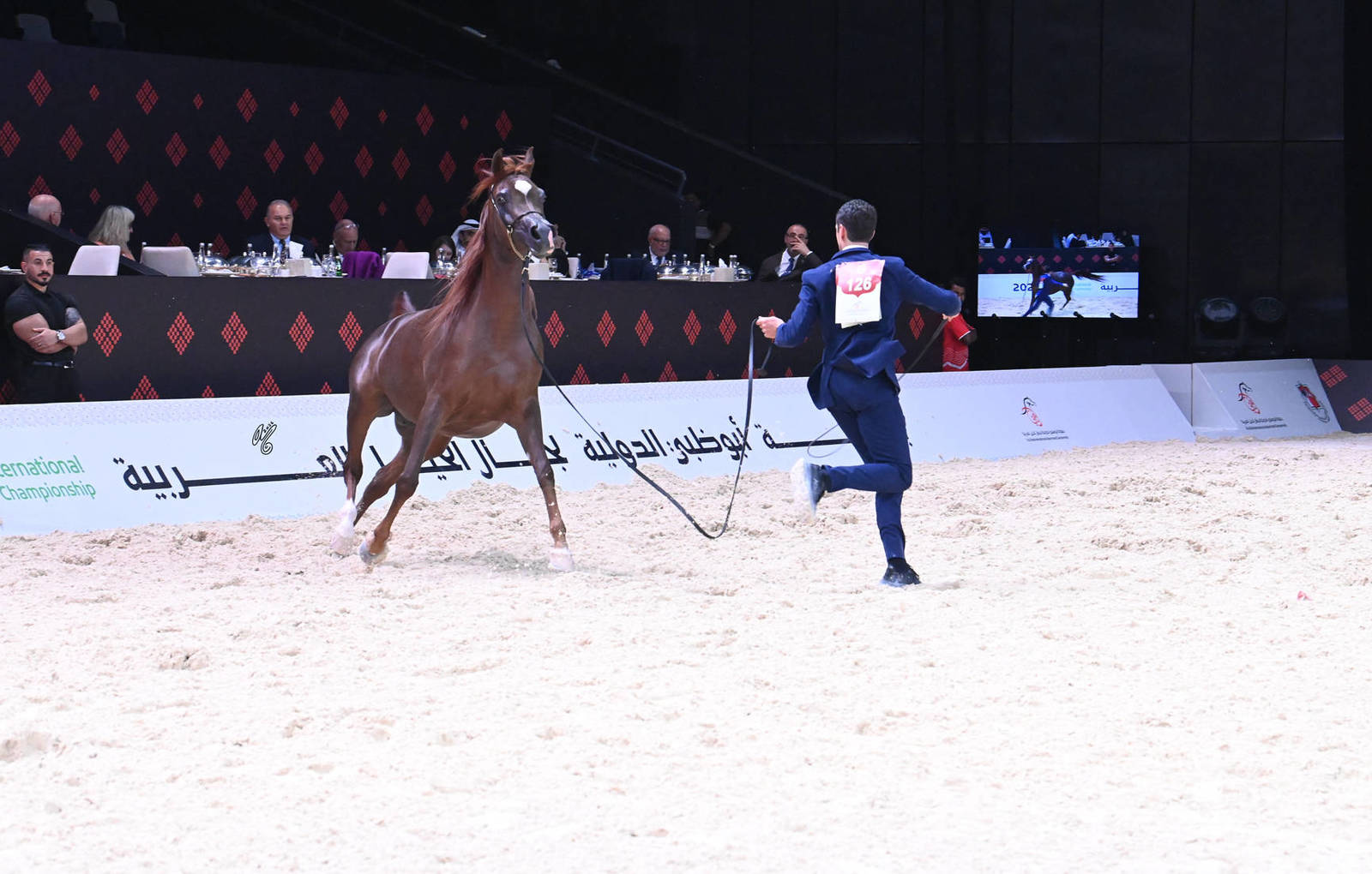 Mares 4+ Years: Tokyo Alsalam 