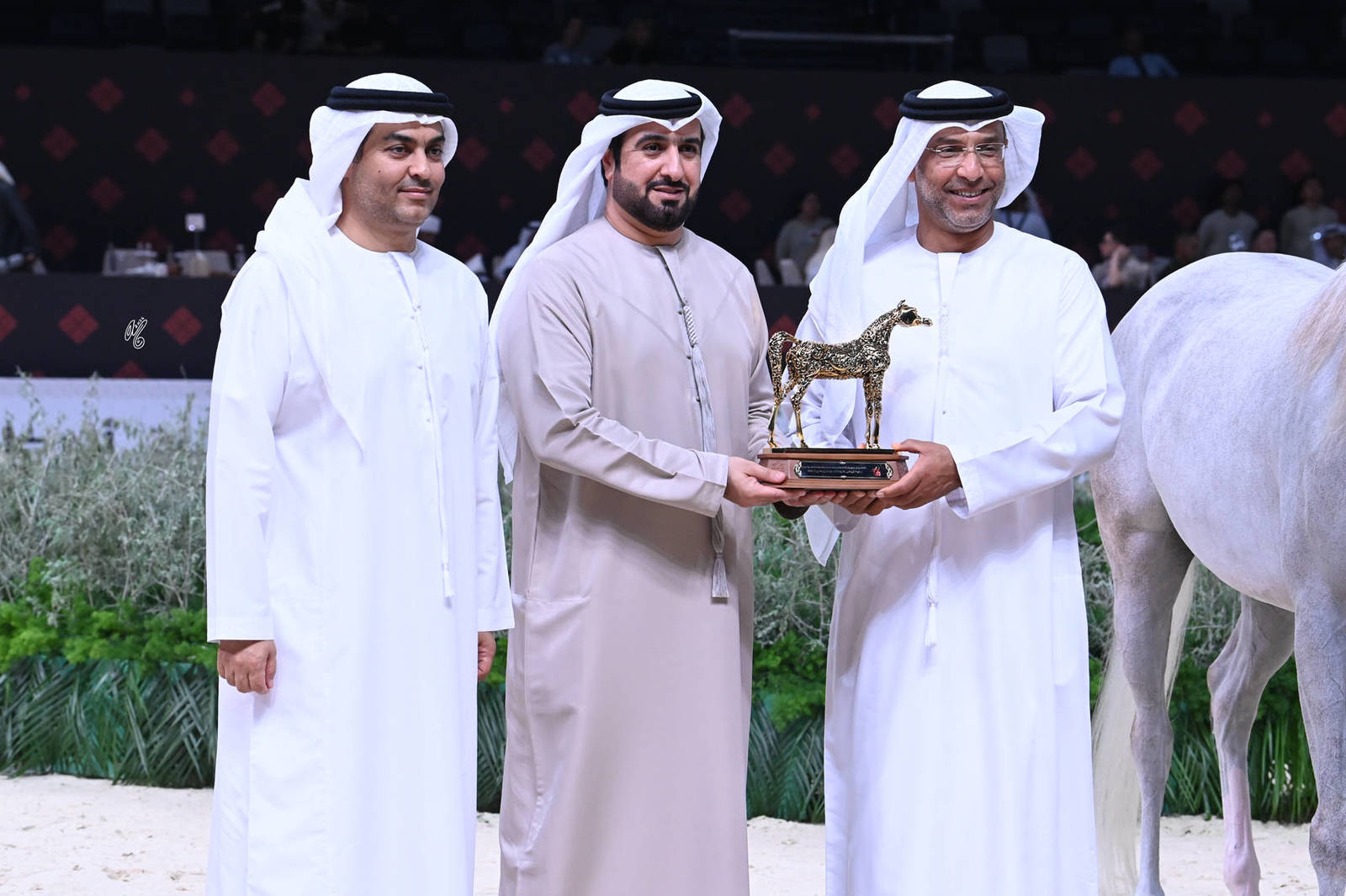 Fillies 3 Years Old: AJ Najwa