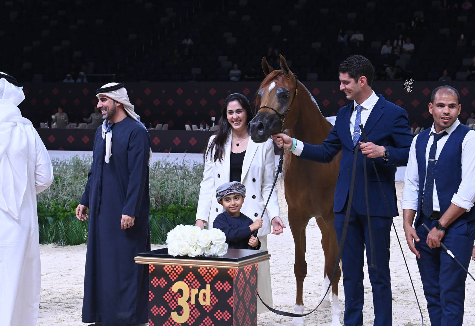 Fillies 3 Years Old: Haya Al Fahaid 