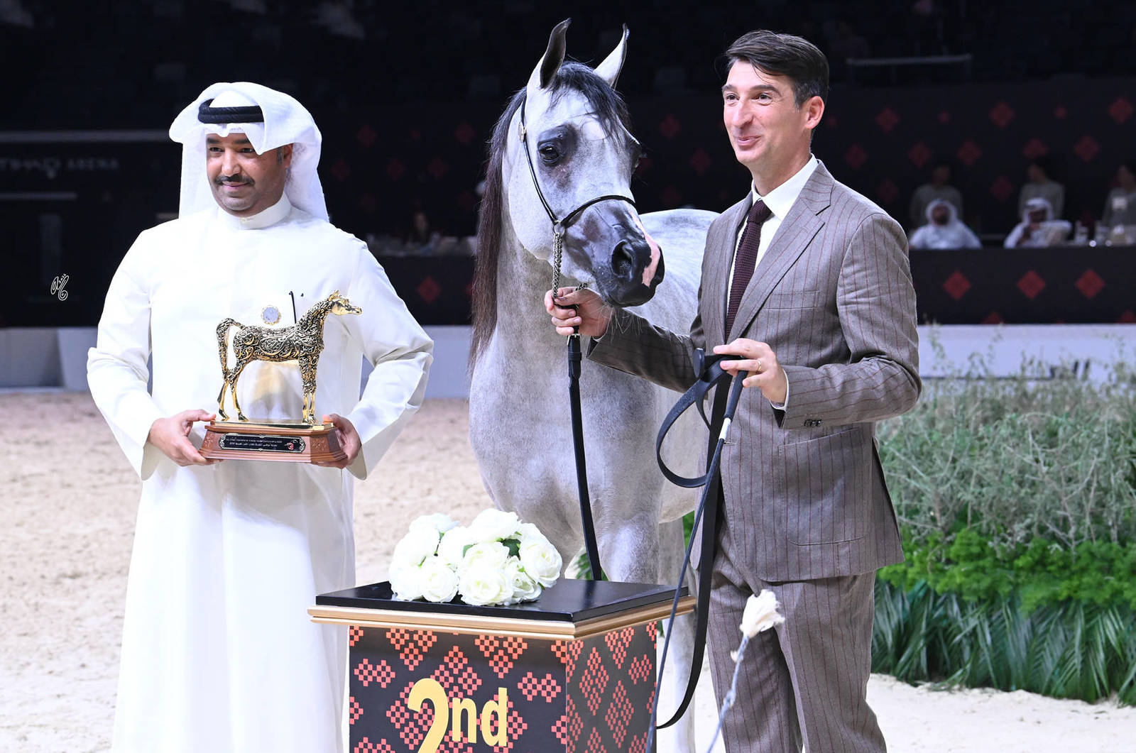 Fillies 3 Years Old: Sana OS 