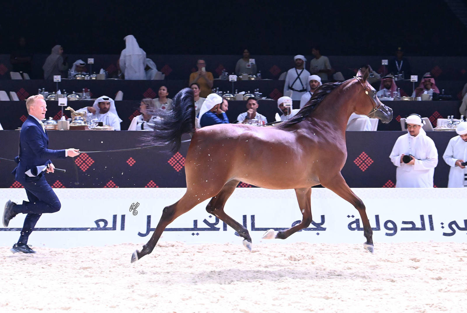 Fillies 2 Years Old: AD Najwa 