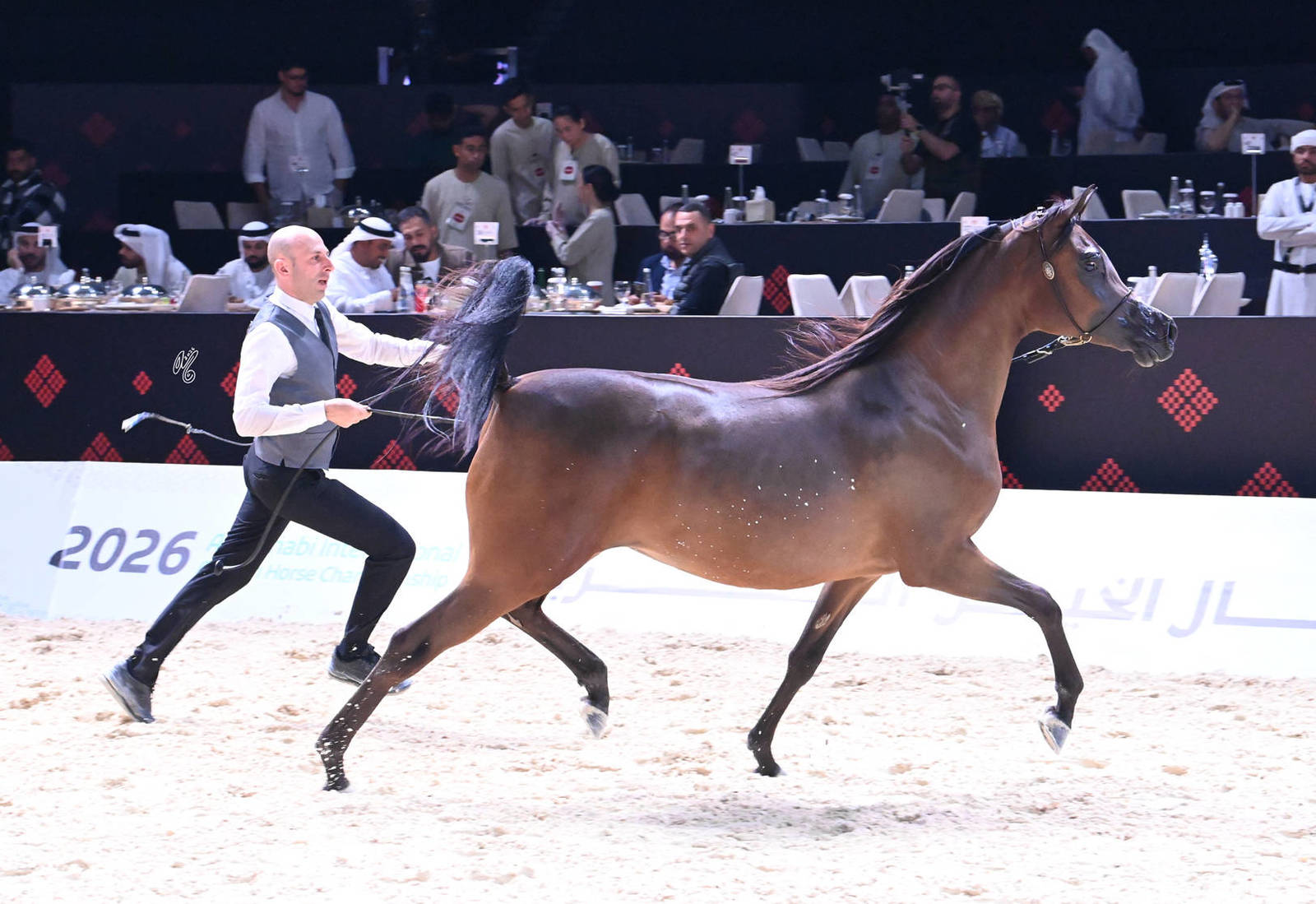 Fillies 2 Years Old: JS Ghala 