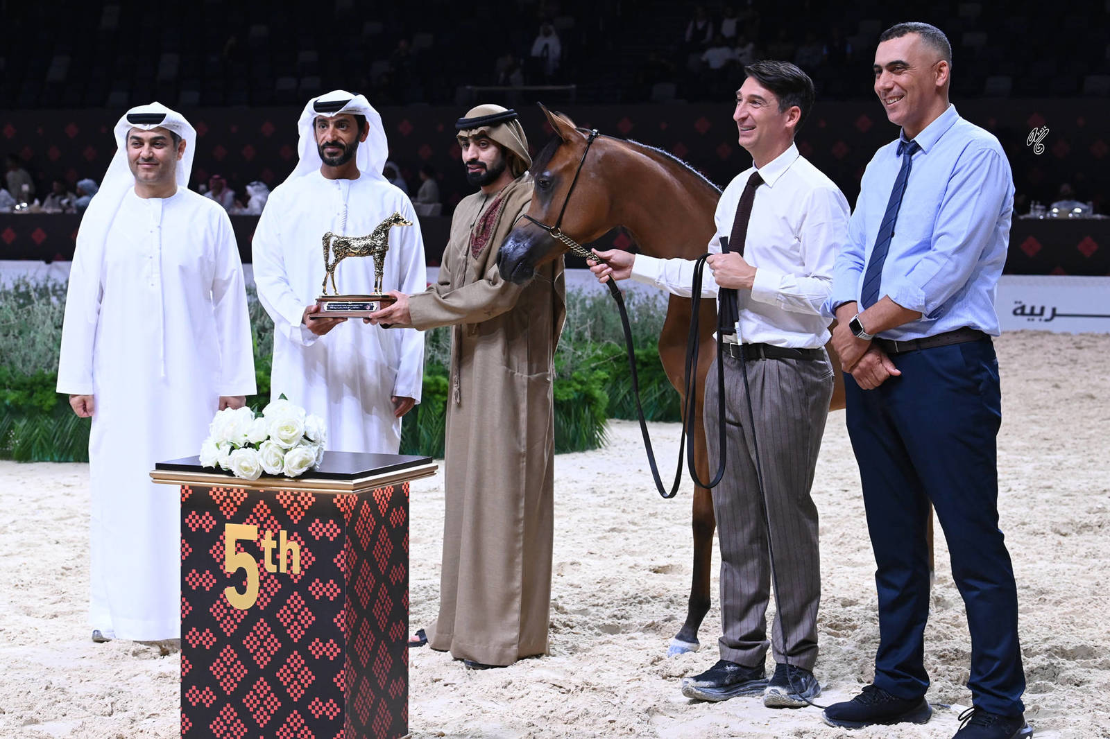 Yearling Filly: Shaheerah Albustan 