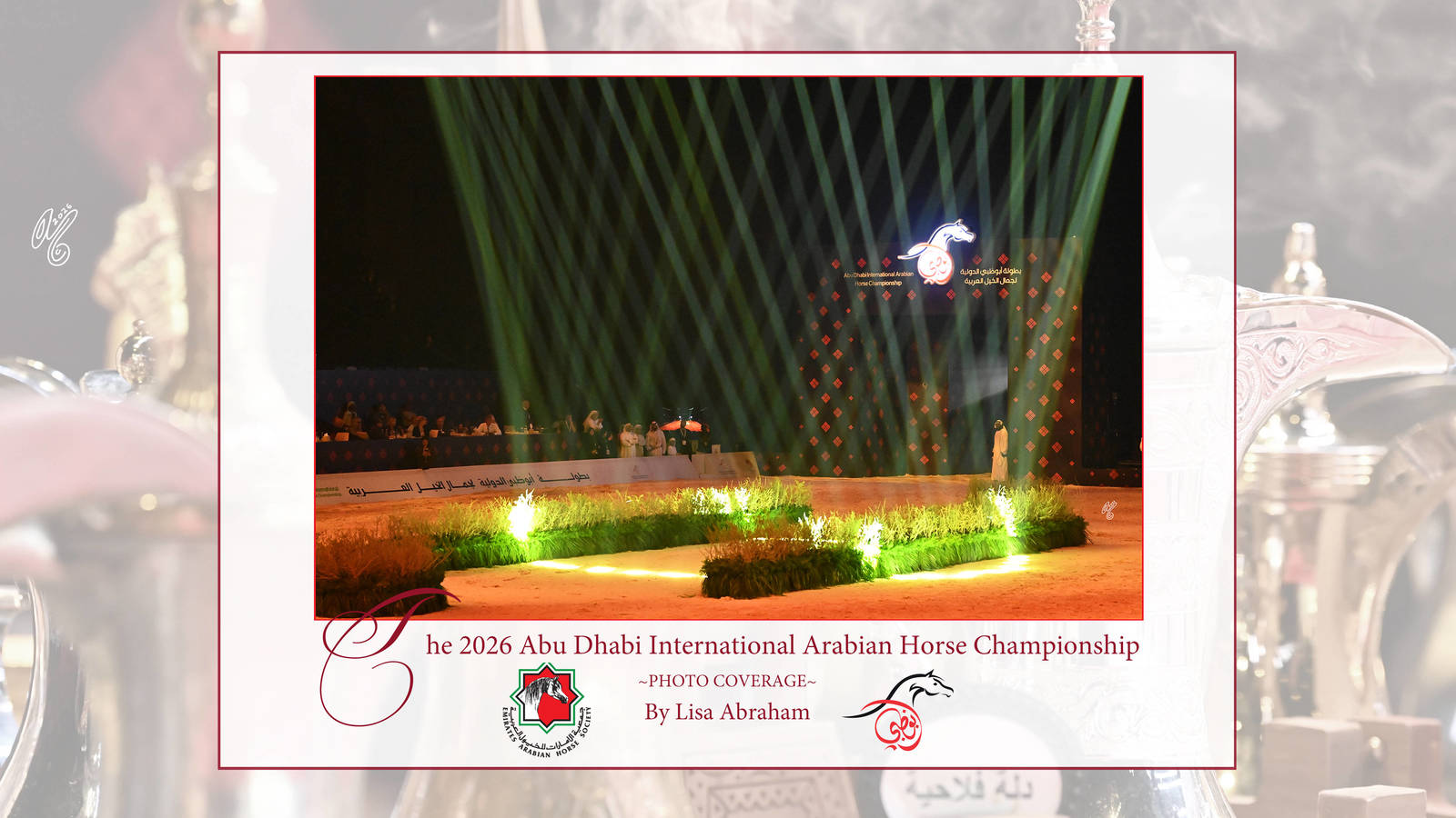 Lisa Abraham: The 2026 Abu Dhabi International Arabian Horse Championship Photo Gallery