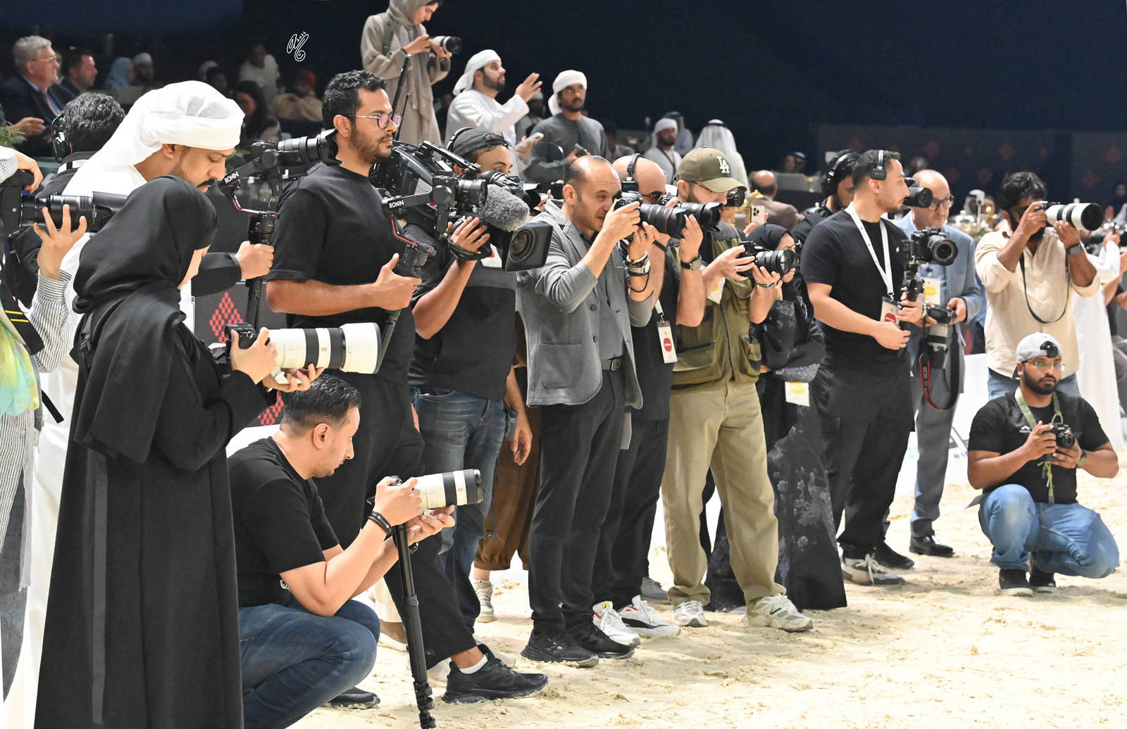 Lisa Abraham: The 2026 Abu Dhabi International Arabian Horse Championship Photo Gallery