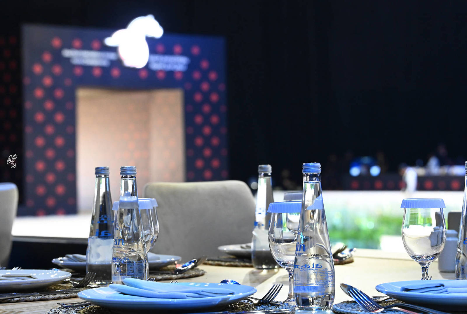 Lisa Abraham: The 2026 Abu Dhabi International Arabian Horse Championship Photo Gallery