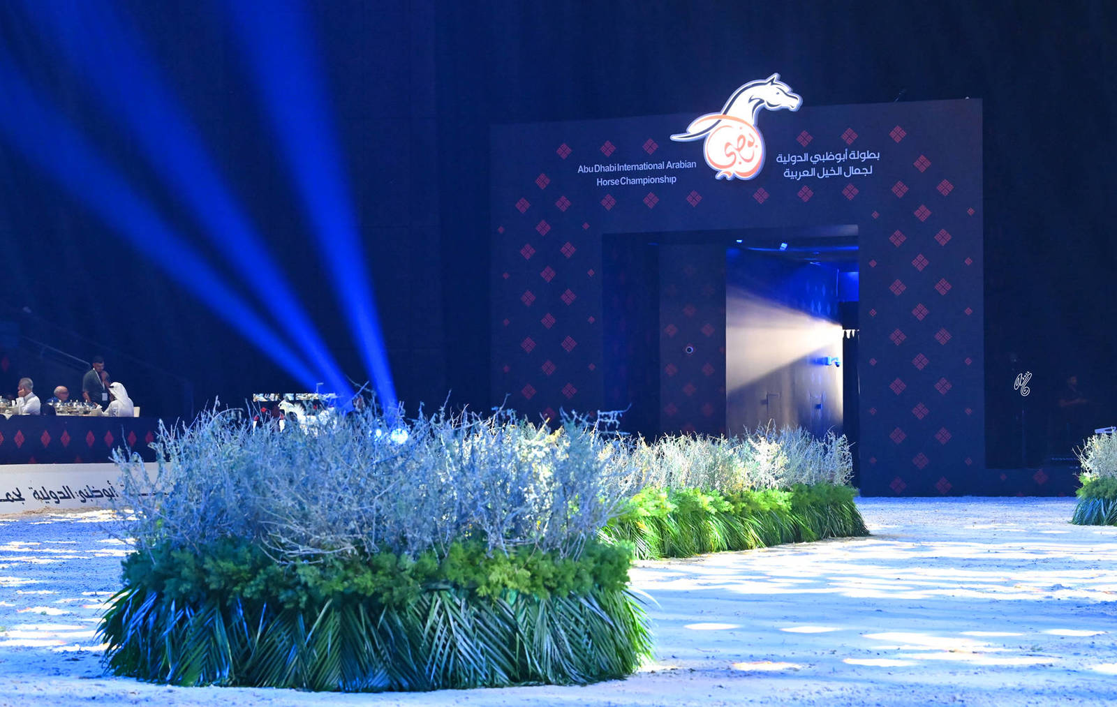 Lisa Abraham: The 2026 Abu Dhabi International Arabian Horse Championship Photo Gallery