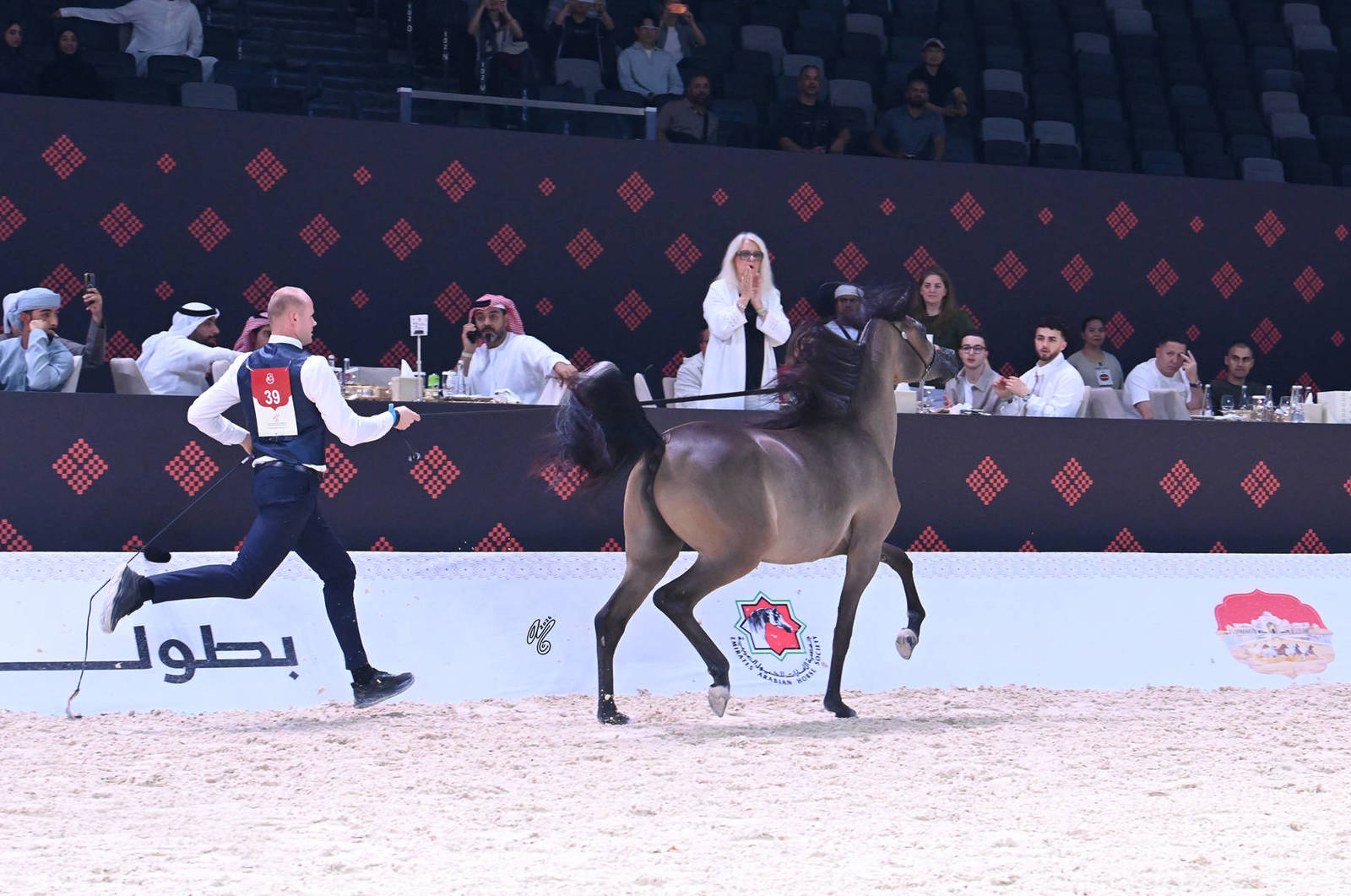 Fillies 2 Years Old: Donia J 