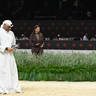 Lisa Abraham: The 2026 Abu Dhabi International Arabian Horse Championship Photo Gallery
