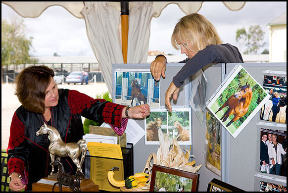 Kelly Elm of Arroyo with Christie Metz arranging the Shai wall featuring progeny of Shai and stories from owners.