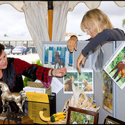 Kelly Elm of Arroyo with Christie Metz arranging the Shai wall featuring progeny of Shai and stories from owners.