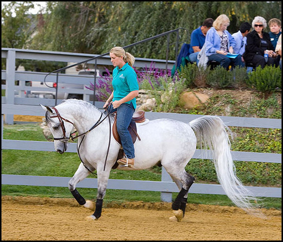 Ali Sadiid  - By Ali Saroukh x Shaia+ with Emily Devers, SMF Farm Manager