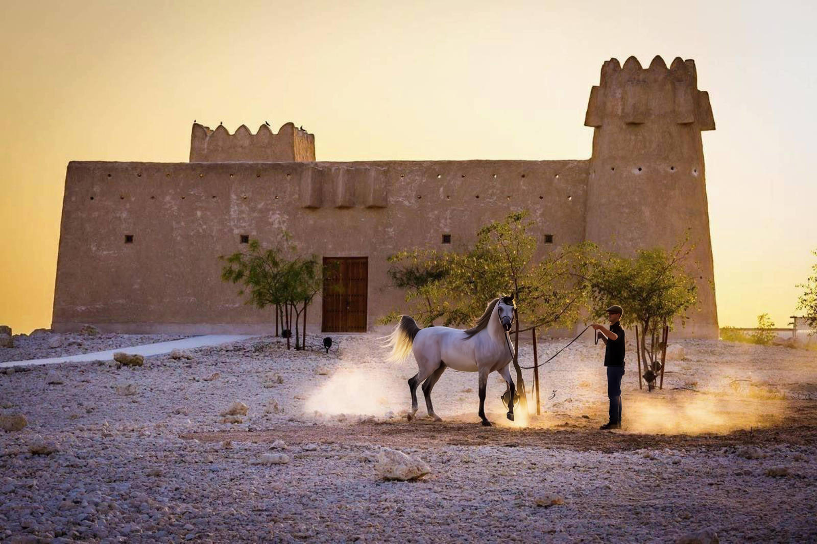 The Arabian Horse Community Mourns the Passing of His Highness Sheikh Hamad bin Khalifa Al Thani
