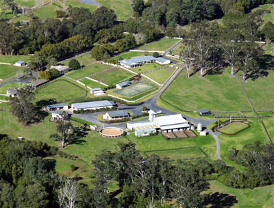 Forest Hill Arabian Stud