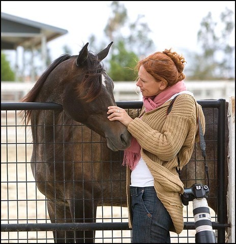 Kimerlee Curyl  - Sidon SMF  (Ali Saroukh x Shaboura by PVA Kariim) yearling colt