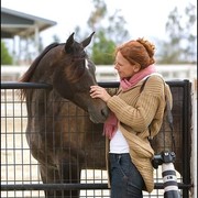 Kimerlee Curyl  - Sidon SMF  (Ali Saroukh x Shaboura by PVA Kariim) yearling colt