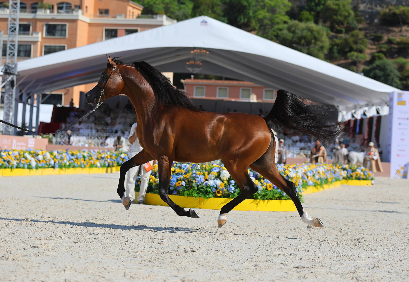 GCAT Celebrates a sp[ectacular Monaco Debut !!