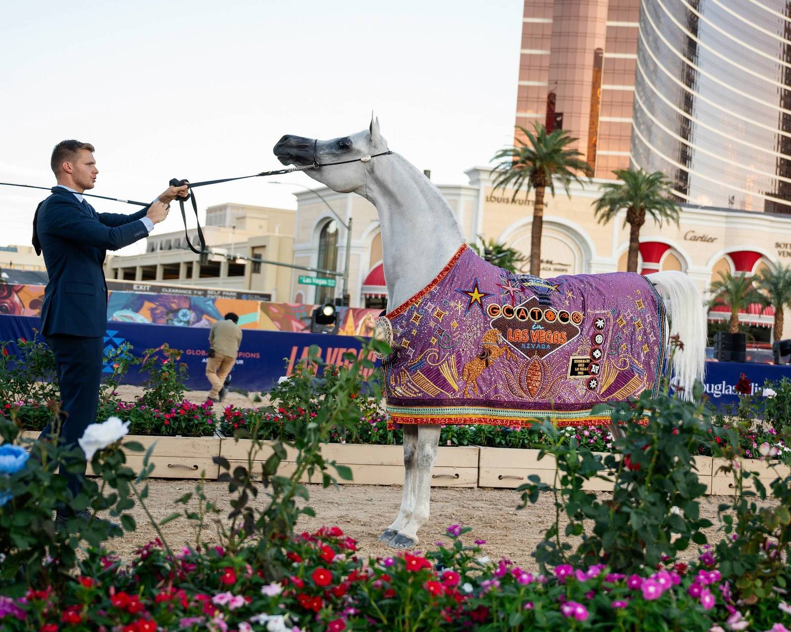The Global Champions Arabians Tour Heads to Las Vegas