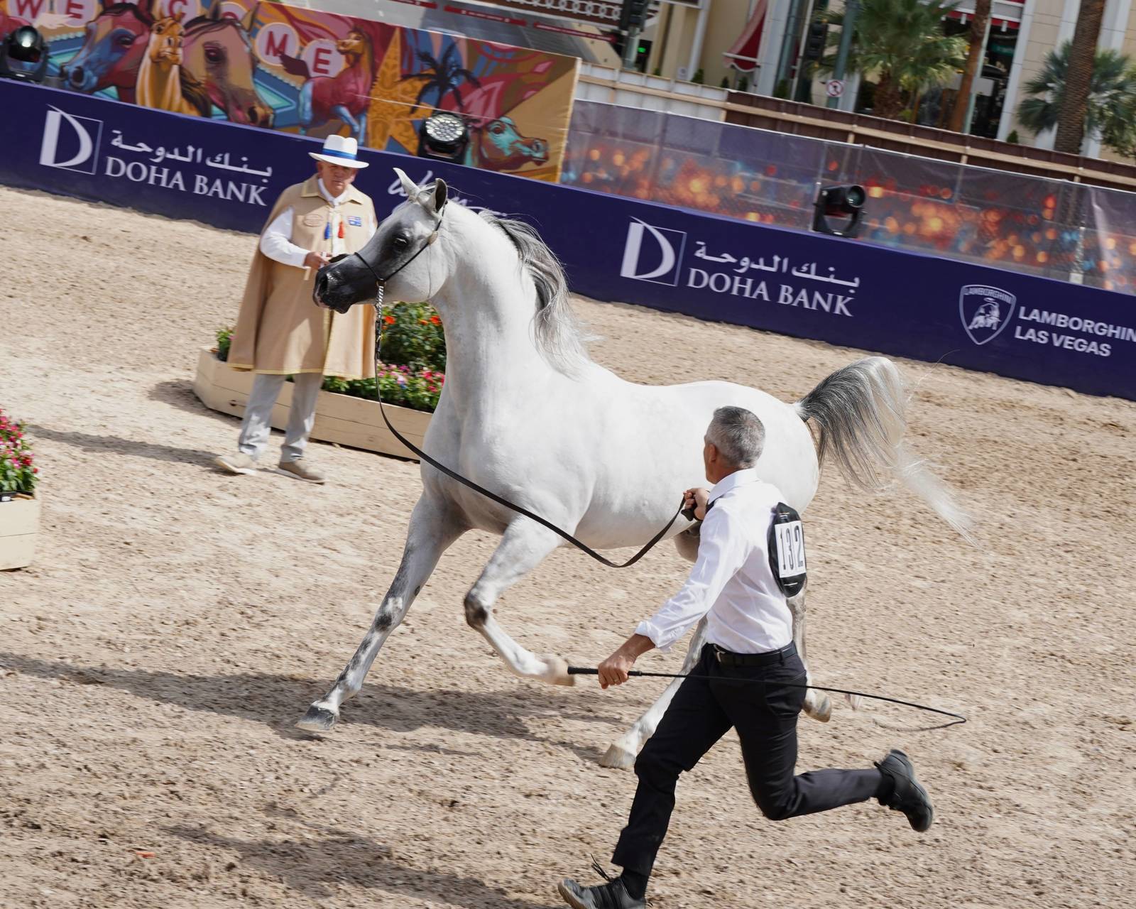 The Global Champions Arabians Tour Heads to Las Vegas