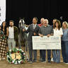 Gold Champion Senior Stallion: Premaro VO