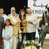 Gold Champion Senior Stallion: Premaro VO