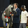 Silver Champion Senior Stallion: Aria Khadeem 