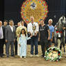 Silver Champion Senior Stallion: Aria Khadeem 