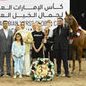 Bronze Champion Senior Stallion: CTJ Kuduro 