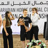 Bronze Champion Senior Stallion: CTJ Kuduro 