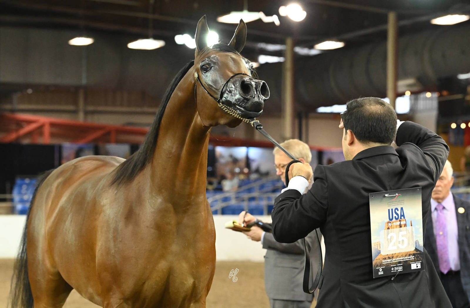 Silver Champion Senior Mare: Posh PA 